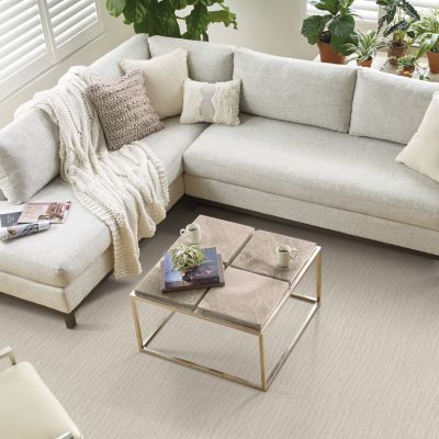 off white carpets in a bright Irvine living room with neutral sectional